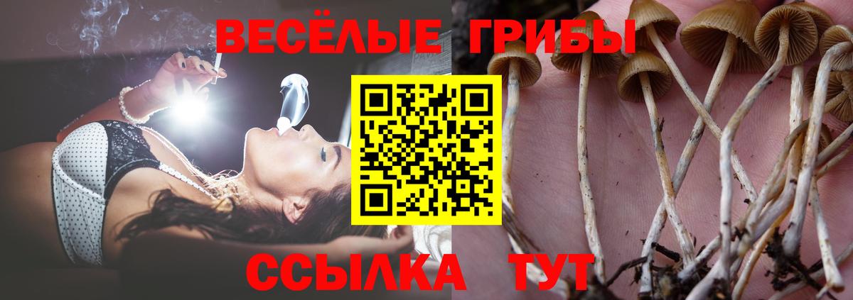 Галлюциногенные грибы Magic Shrooms Гуково